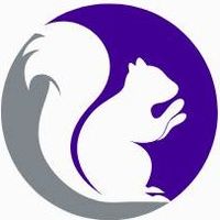 Purple Squirrel Professional Cleaning logo