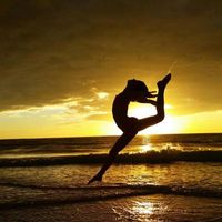 Velocity Gymnastics Academy logo